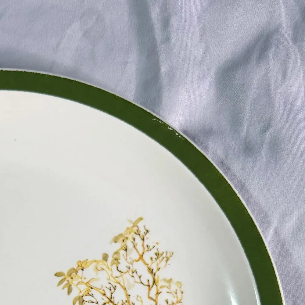 Vintage Holly Hobbie Collector Plates Set of 2 1970s American Greetings Decor